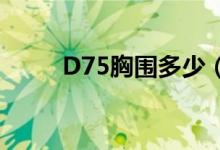 D75胸圍多少（d75胸圍多少cm）