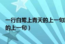 一行白鷺上青天的上一句跟下一句是什么（一行白鷺上青天的上一句）