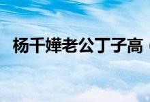 楊千嬅老公丁子高（楊千嬅老公是什么人）