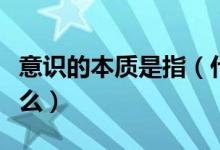 意識的本質是指（什么是意識意識的本質是什么）