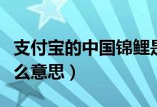 支付寶的中國錦鯉是啥（支付寶中國錦鯉是什么意思）