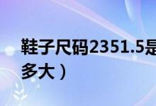 鞋子尺碼2351.5是多少碼（鞋子尺碼235是多大）