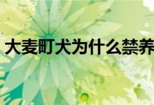 大麥町犬為什么禁養(yǎng)（大麥町犬為什么禁養(yǎng)）