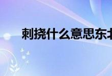 刺撓什么意思東北話（刺撓什么意思）