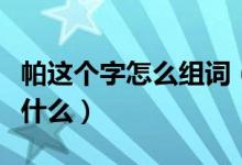 帕這個(gè)字怎么組詞（帕組詞帕字組詞和成語有什么）