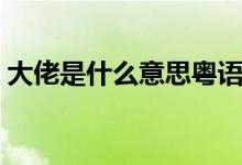 大佬是什么意思粵語(yǔ)（大佬是什么意思網(wǎng)絡(luò)）