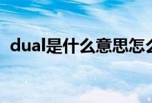 dual是什么意思怎么讀（dual是什么意思）