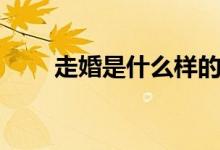 走婚是什么樣的（走婚是什么意思）