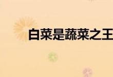 白菜是蔬菜之王嗎（白菜是哪個(gè)科）