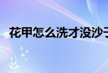 花甲怎么洗才沒(méi)沙子（花甲怎么洗才沒(méi)沙）