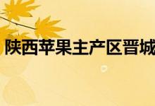 陜西蘋果主產區(qū)晉城(陜西蘋果主產地是哪)