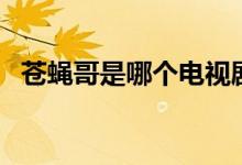 蒼蠅哥是哪個(gè)電視?。ㄉn蠅哥是哪部電影）