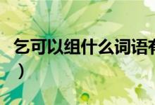 乞可以組什么詞語有哪些（乞可以組什么詞語）