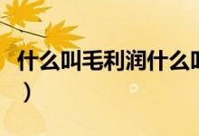 什么叫毛利潤什么叫凈利潤（什么叫毛入學率）