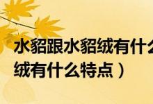 水貂跟水貂絨有什么區(qū)別（什么是水貂絨水貂絨有什么特點）