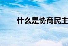 什么是協(xié)商民主（什么是協(xié)同作用）