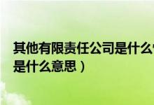 其他有限責(zé)任公司是什么性質(zhì)的單位?。ㄆ渌邢挢?zé)任公司是什么意思）