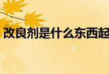 改良劑是什么東西起什么用（改良劑是什么）