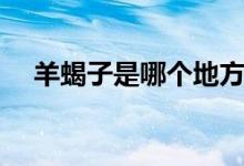 羊蝎子是哪個(gè)地方的（羊蝎子是啥東西）