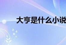 大亨是什么小說(shuō)（大亨是什么意思）