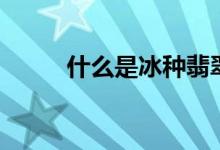 什么是冰種翡翠（什么是趕廟會(huì)）