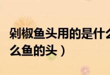 剁椒魚頭用的是什么辣椒（剁椒魚頭用的是什么魚的頭）