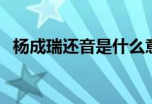 楊成瑞還音是什么意思（還音是什么意思）