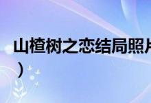 山楂樹之戀結(jié)局照片（山楂樹之戀結(jié)局是什么）