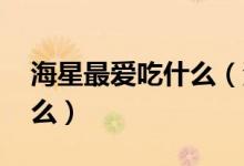 海星最愛吃什么（海星吃什么 海星喜歡吃什么）