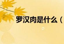 羅漢肉是什么（羅漢肉是什么部位）