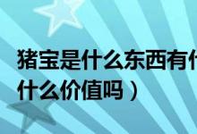 豬寶是什么東西有什么用（豬寶是什么東西有什么價值嗎）