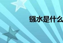 鏹水是什么（鏹水是什么）