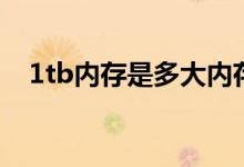 1tb內(nèi)存是多大內(nèi)存卡（1tb內(nèi)存是多大）