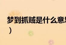 夢(mèng)到抓賊是什么意思（mdzz是什么意思求解）