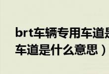 brt車輛專用車道是什么標(biāo)志（brt車輛專用車道是什么意思）