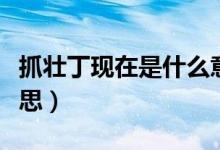 抓壯丁現(xiàn)在是什么意思（網(wǎng)絡(luò)語抓壯丁什么意思）