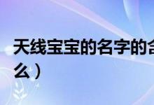 天線寶寶的名字的含義（天線寶寶的名字叫什么）