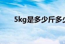 5kg是多少斤多少兩（5kg是多少斤）