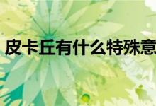 皮卡丘有什么特殊意思（皮卡丘有什么含義）