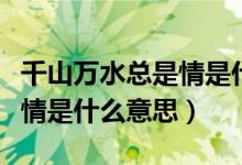 千山萬水總是情是什么意思?。ㄇ饺f水總是情是什么意思）