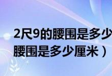 2尺9的腰圍是多少厘米穿多大褲子（2尺9的腰圍是多少厘米）