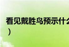 看見戴勝鳥預(yù)示什么（看見戴勝鳥預(yù)示著什么）