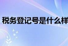 稅務登記號是什么樣子（稅務登記號是什么）