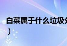 白菜屬于什么垃圾分類（白菜屬于什么科類的）