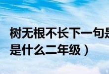 樹(shù)無(wú)根不長(zhǎng)下一句是什么（樹(shù)無(wú)根不長(zhǎng)下一句是什么二年級(jí)）