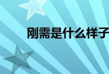 剛需是什么樣子（剛需是什么意思）