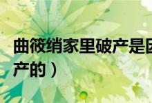 曲筱綃家里破產(chǎn)是因為什么（曲筱綃家怎么破產(chǎn)的）