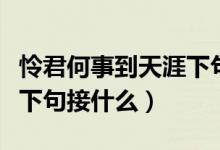 憐君何事到天涯下句接什么（憐君何事到天涯下句接什么）