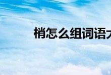 梢怎么組詞語大全（梢怎么組詞）
