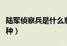 陸軍偵察兵是什么意思（陸軍偵察兵是什么兵種）